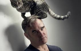 Morrissey with a cat on his head
